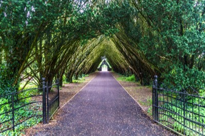  CEMETERY 