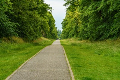  CARTON AVENUE A TREE LINED AVENUE CONNECTING CARTON HOUSE TO MAYNOOTH TOWN 