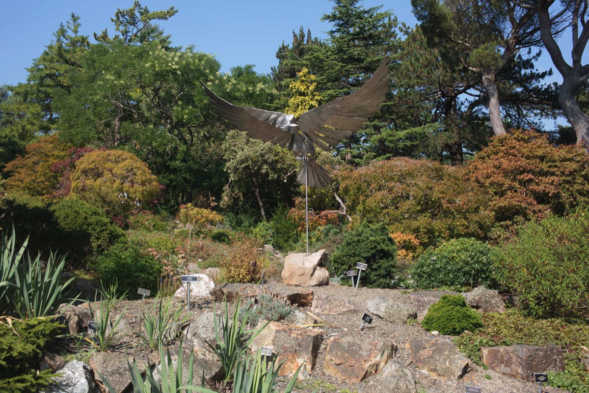 CELTIC PEACE DOVE BY NIGEL CONNELL BASS