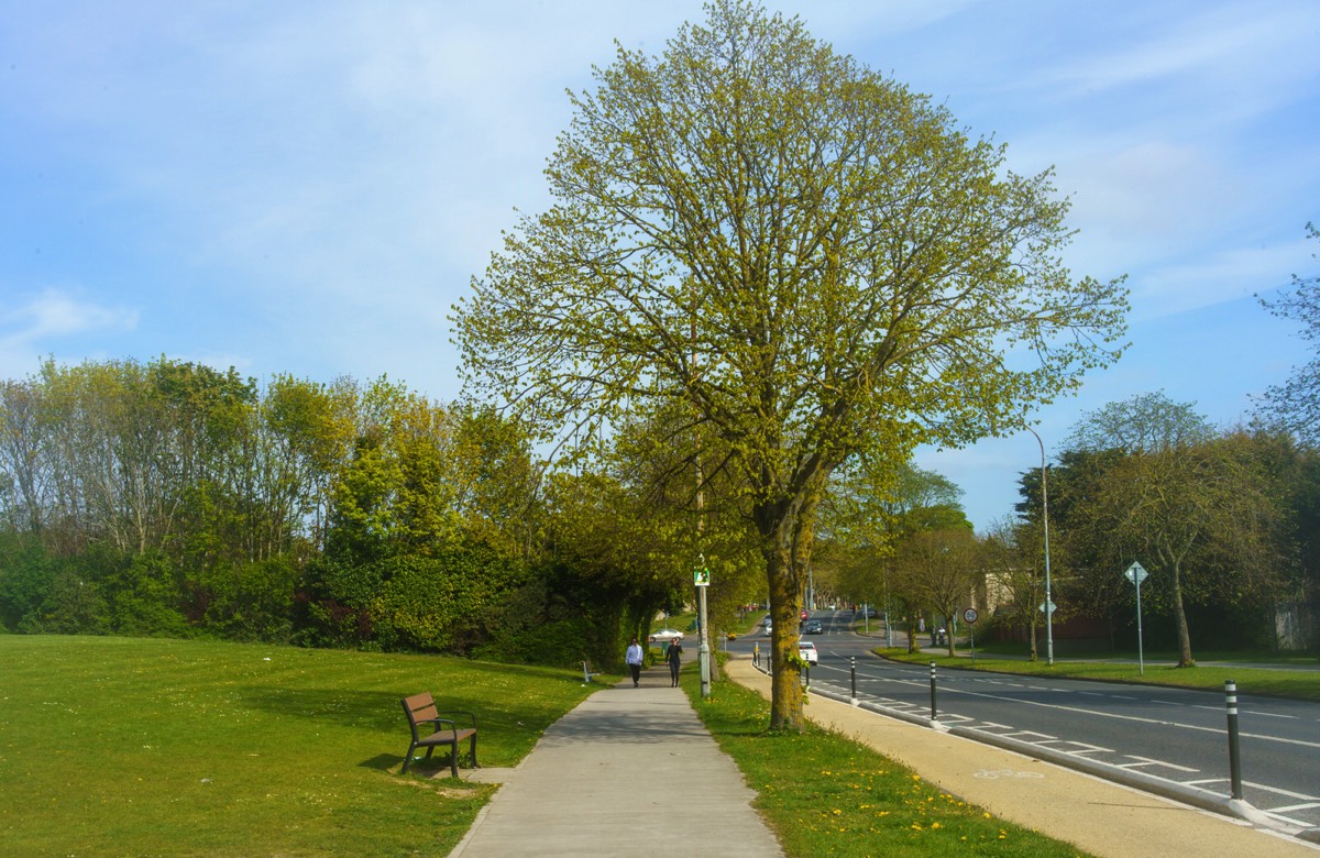 FROM EAST BALLYGALL ROAD TO BALLYMUN ROAD 021