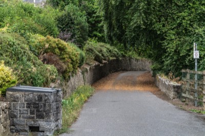  The Lacken Walk, which forms part of the River Nore Linear Park, follows the east bank of the River Nore as it flows south for Bennetsbridge.  