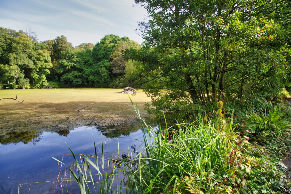 THE DUCK POND AT KILKENNY CASTLE