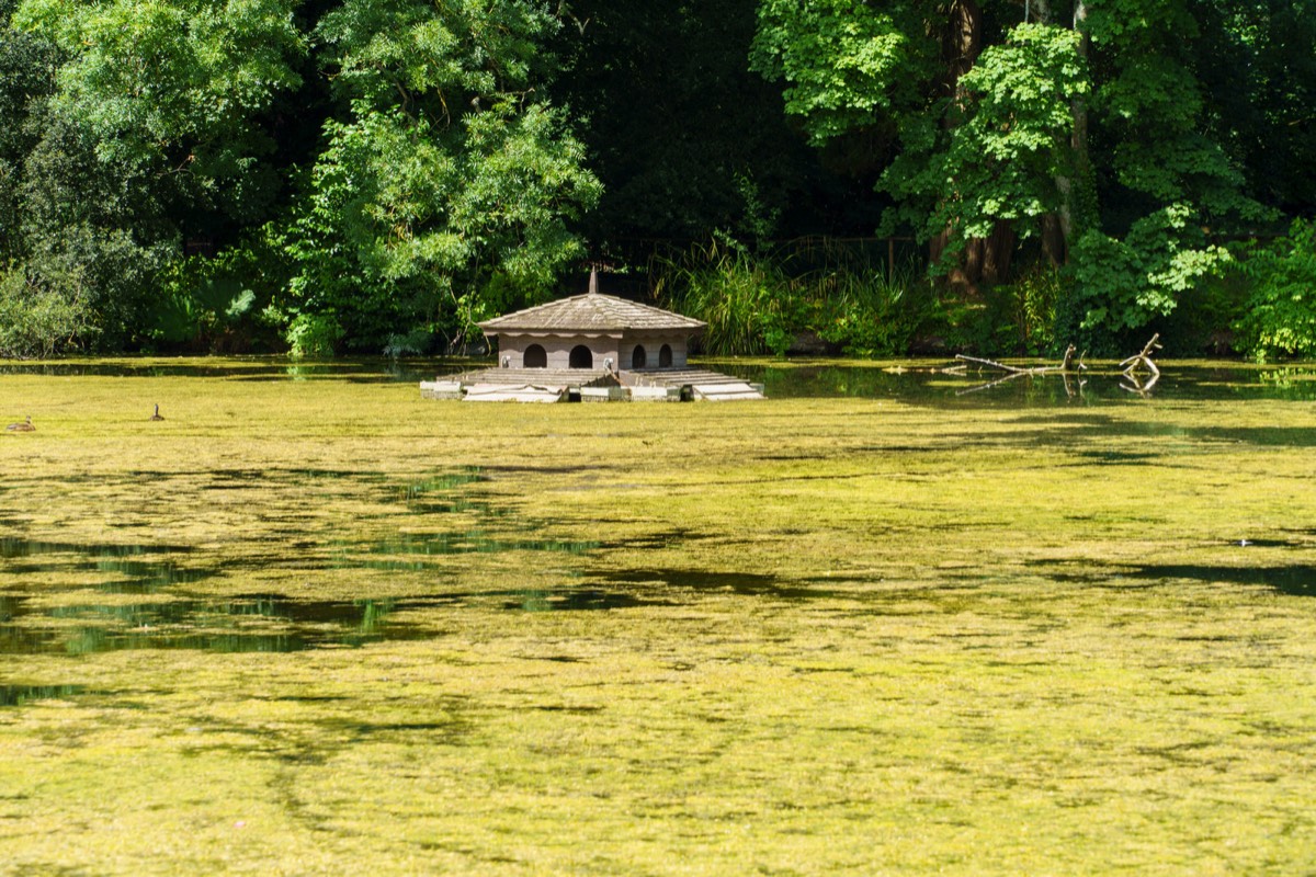 KILKENNY CASTLE DUCK POND 003