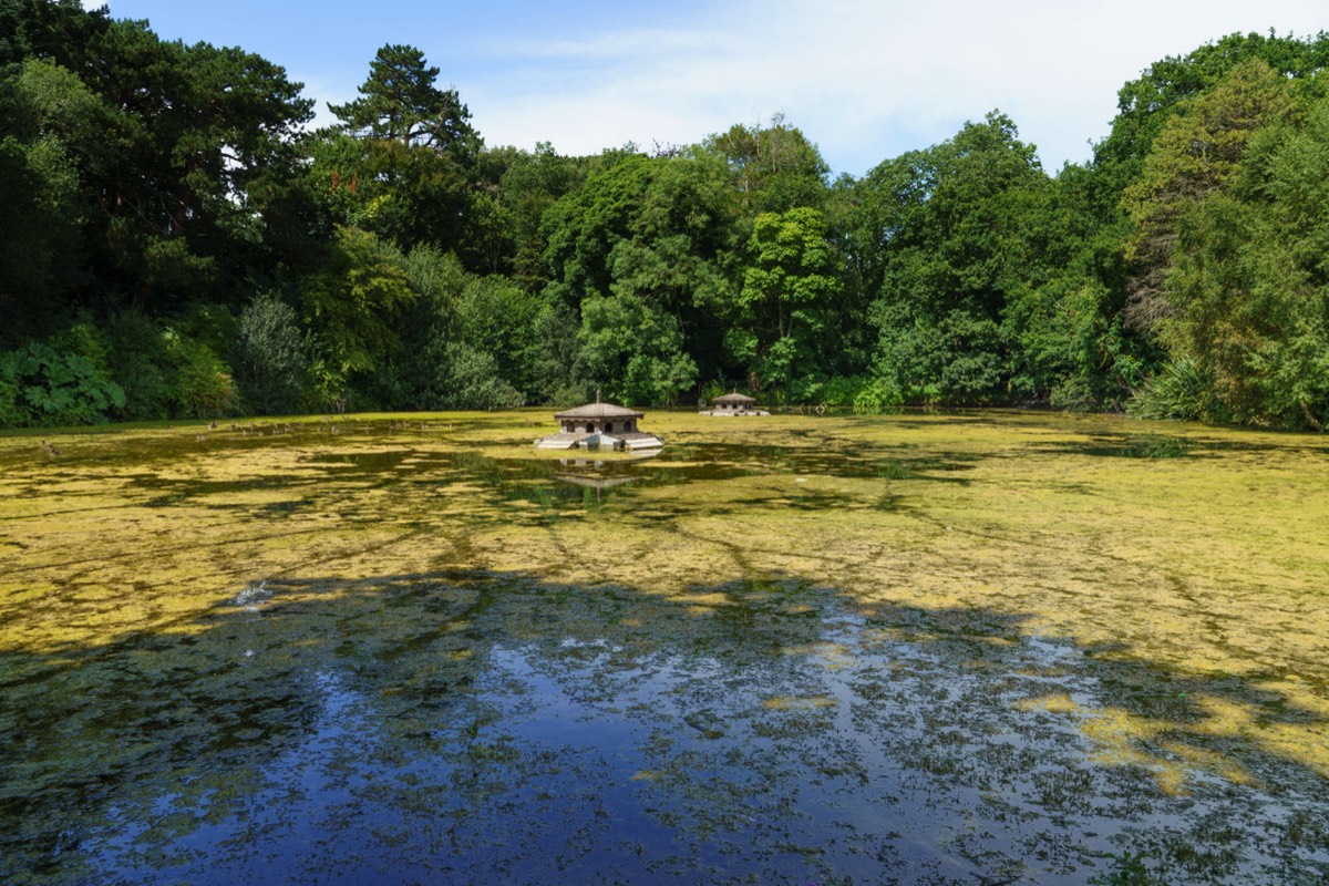 KILKENNY CASTLE DUCK POND 005