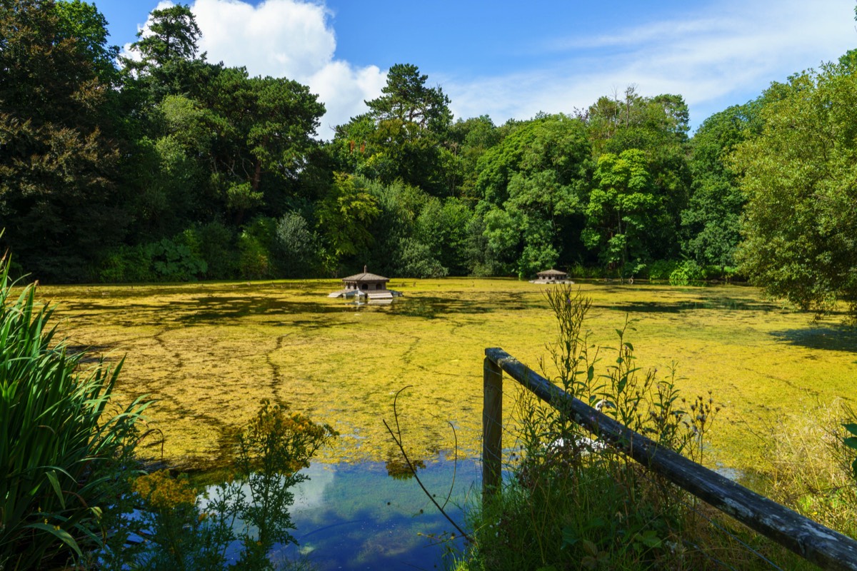 KILKENNY CASTLE DUCK POND 007