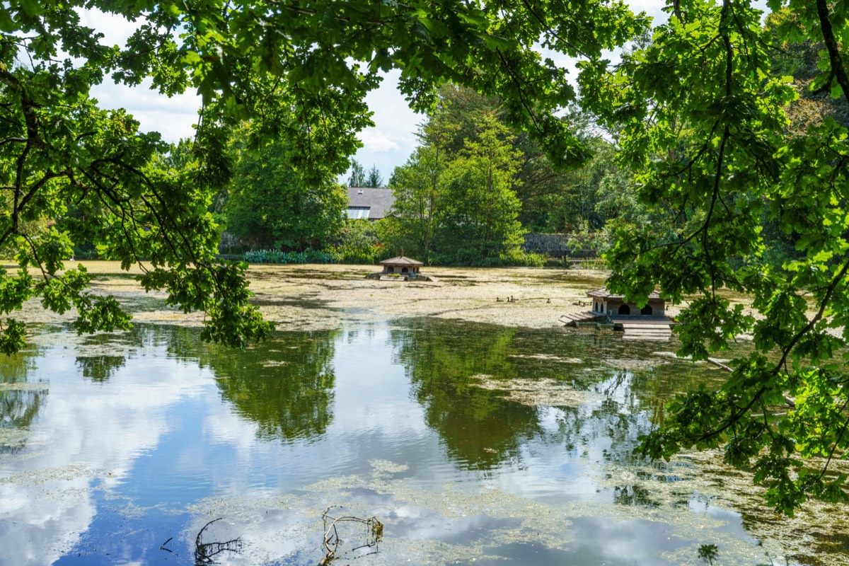 KILKENNY CASTLE DUCK POND 009