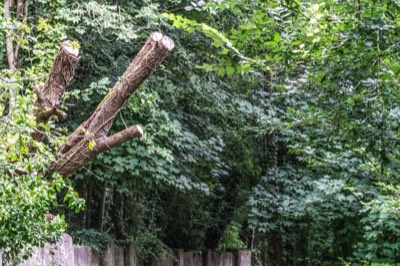  55 PHOTOGRAPHS OF THE LACKEN WALK ALONG THE RIVER NORE 