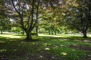 CLARE STREET PARK