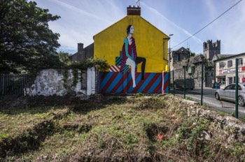  STREET ART IN LIMERICK  - 2017 