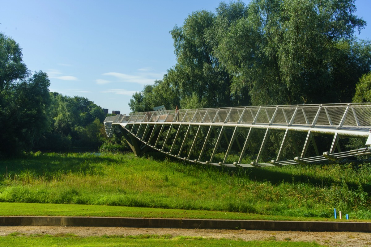 THE LIVING BRIDGE 2021 007