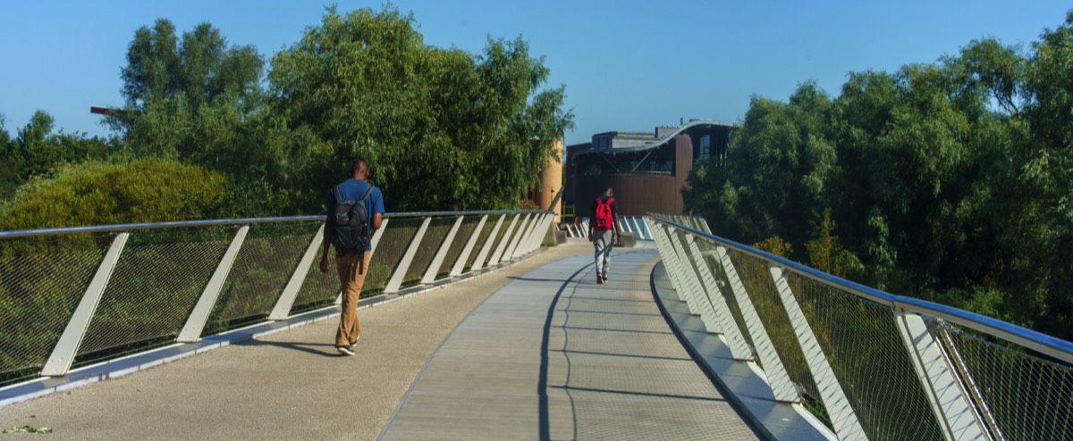 THE LIVING BRIDGE 2021 023