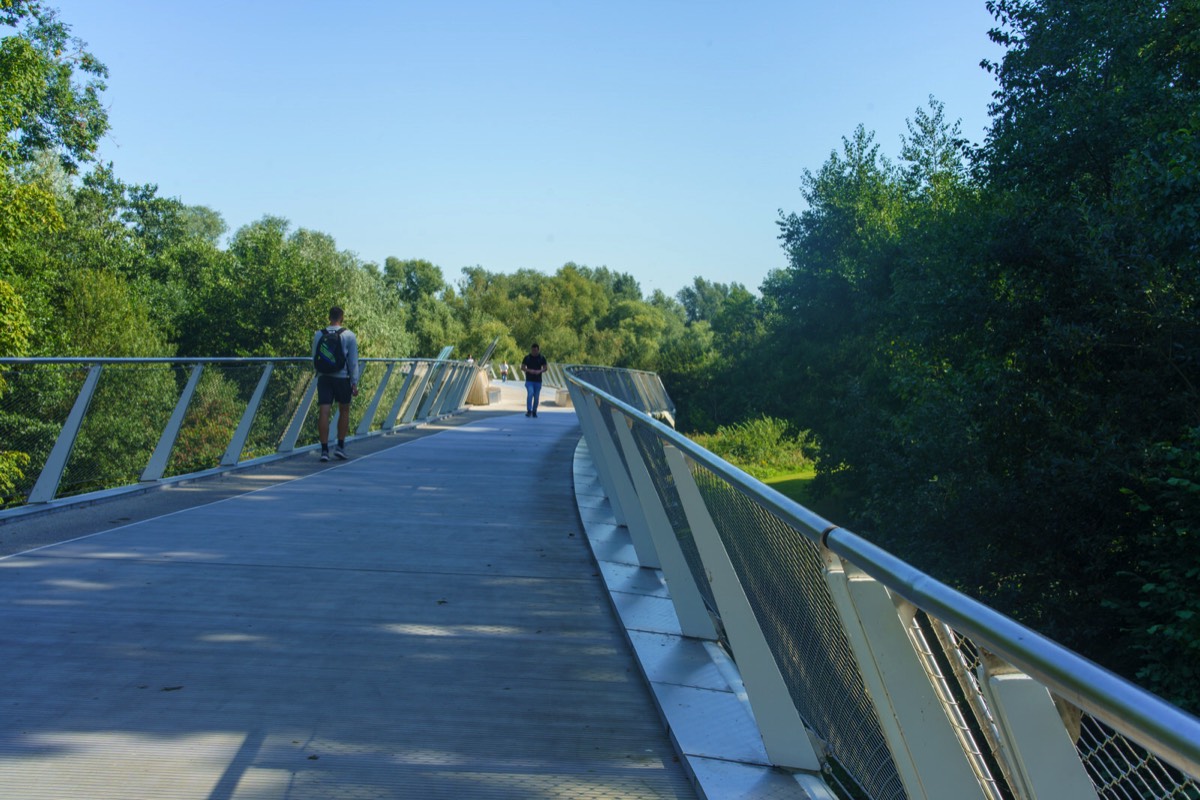 THE LIVING BRIDGE 2021 027