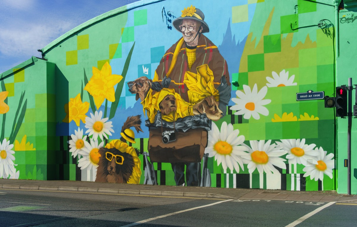 REMEMBERING DODO REDDAN A MURAL IN LIMERICK BY OMINOUS OMIN