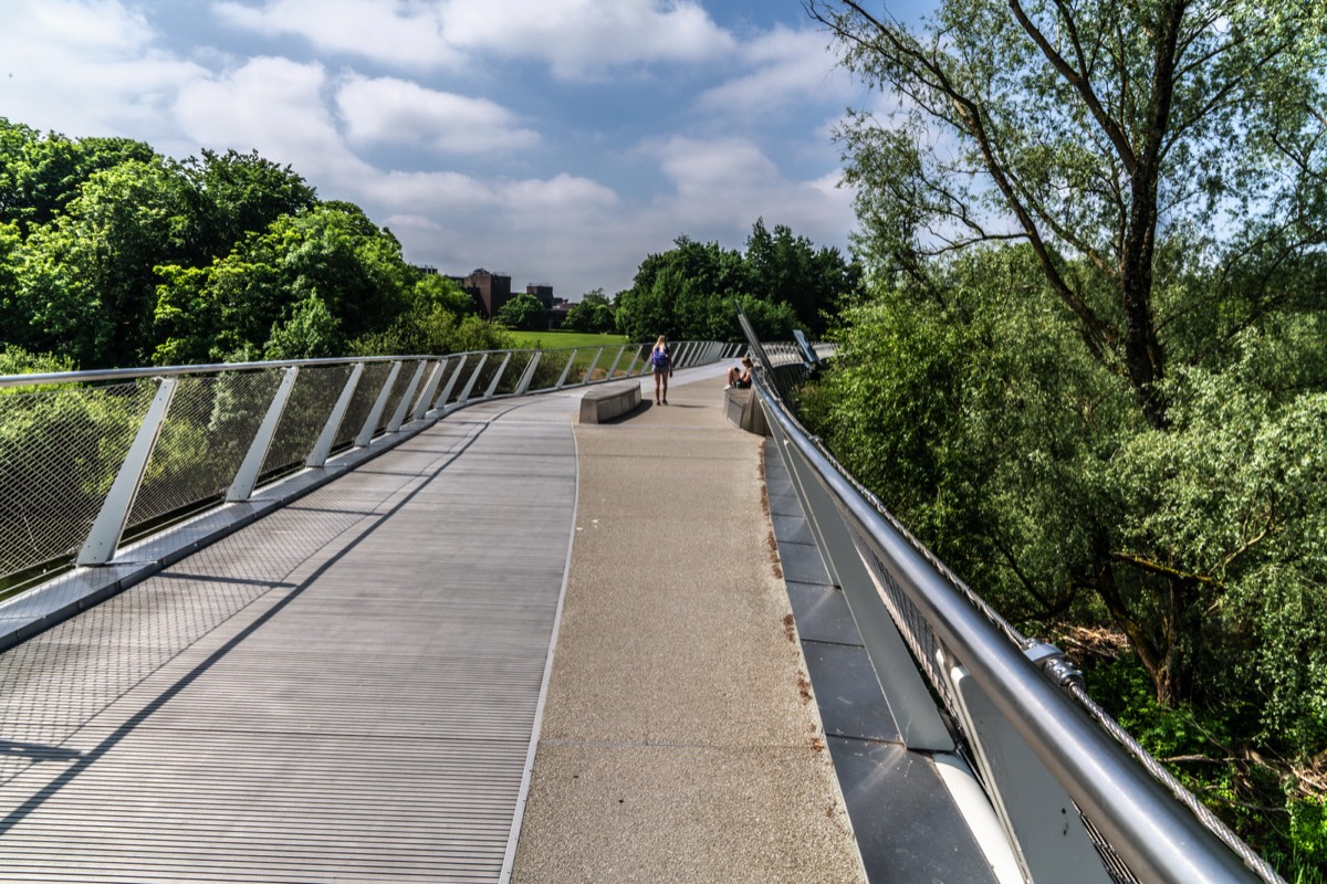 THE LIVING BRIDGE - 2018 001