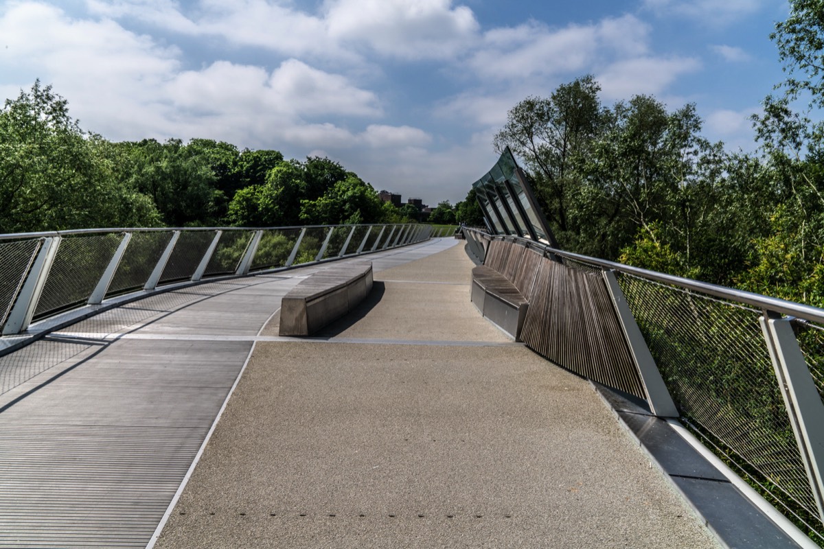 THE LIVING BRIDGE - 2018 003