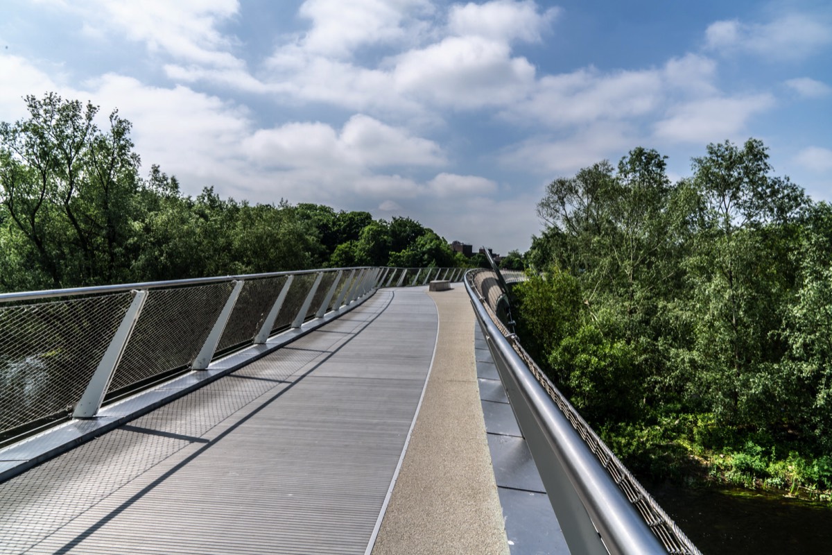 THE LIVING BRIDGE - 2018 006