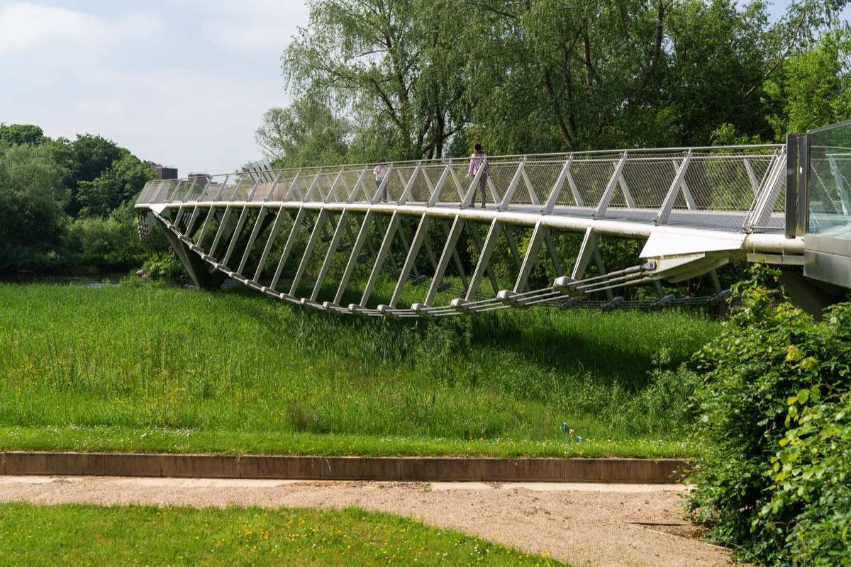 THE LIVING BRIDGE - 2018 011