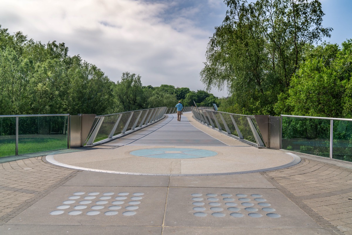 THE LIVING BRIDGE - 2018 012