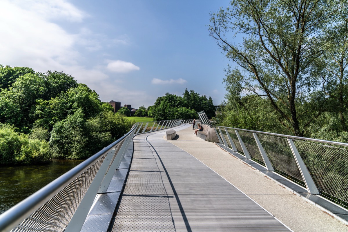 THE LIVING BRIDGE - 2018 015