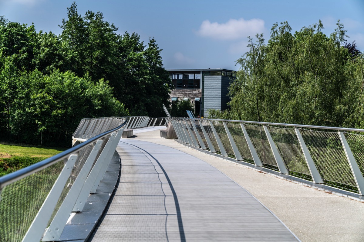 THE LIVING BRIDGE - 2018 017