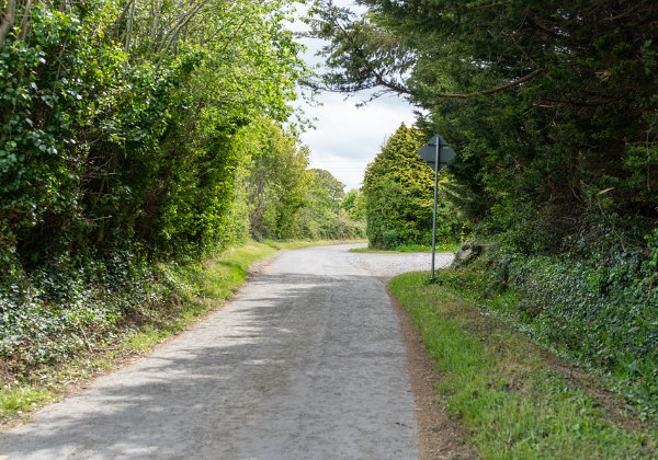 LEHAUSTOWN LANE MAY 2019