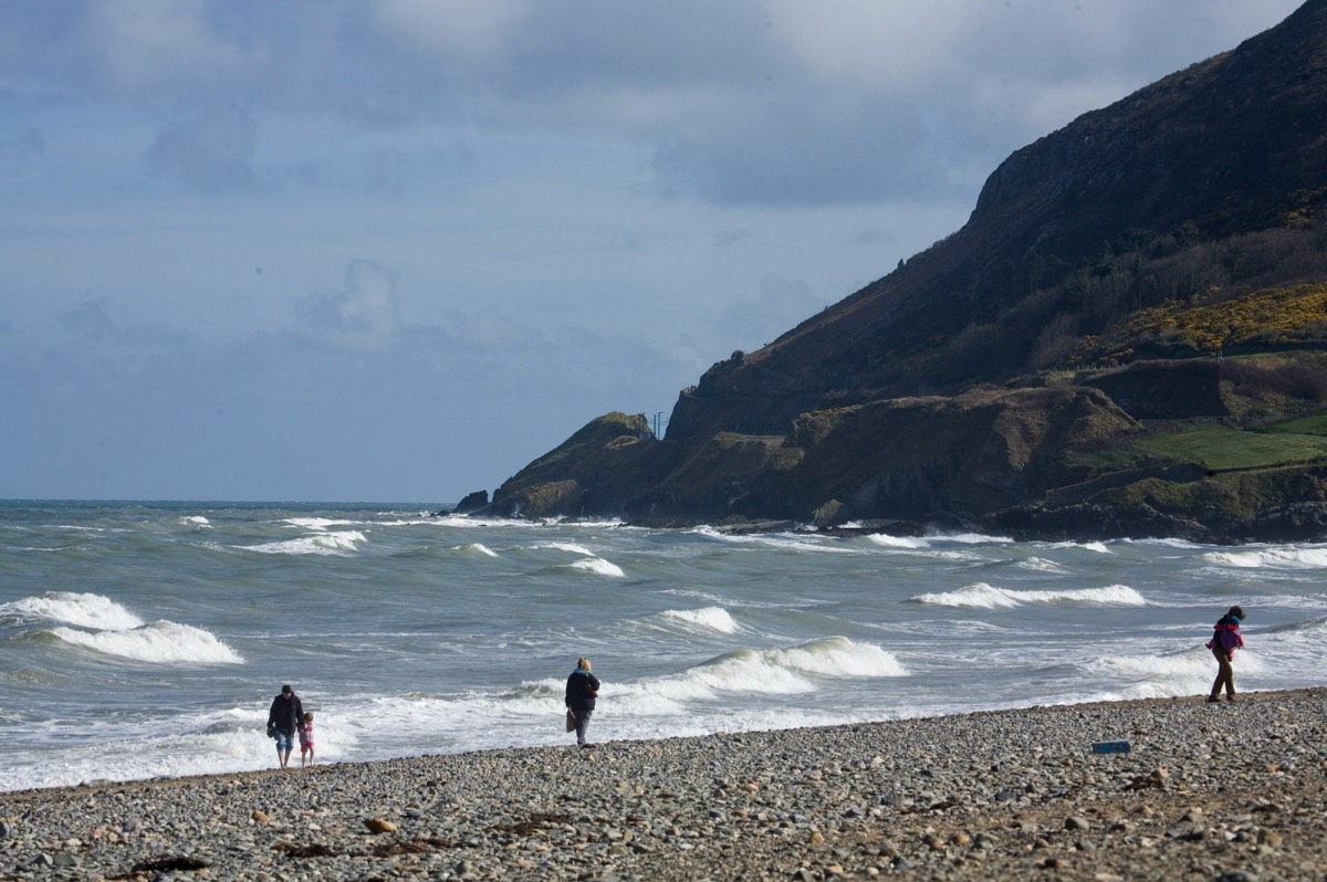 BRAY HEAD APRIL 2007 006