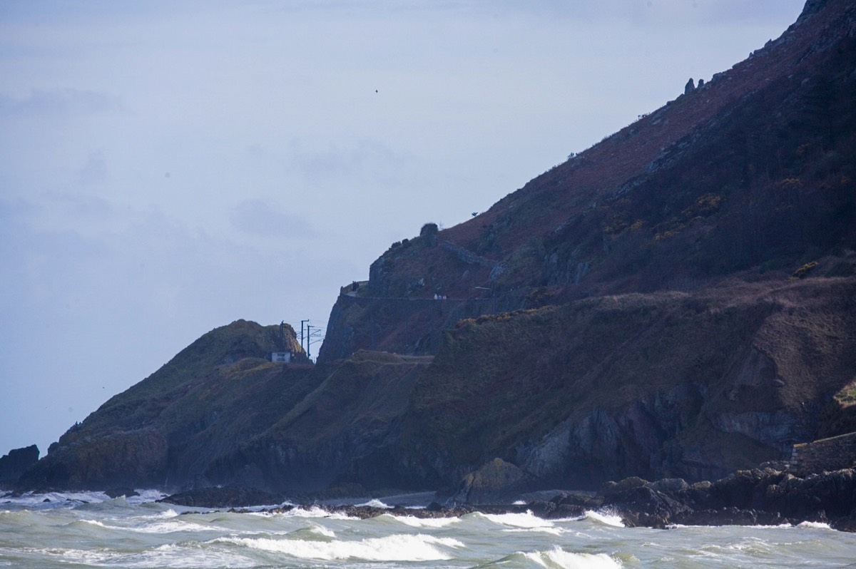 BRAY HEAD APRIL 2007 007