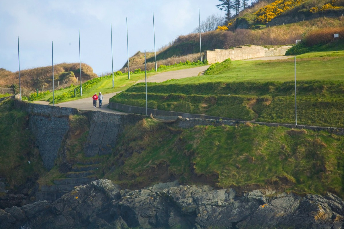 BRAY HEAD APRIL 2007 010