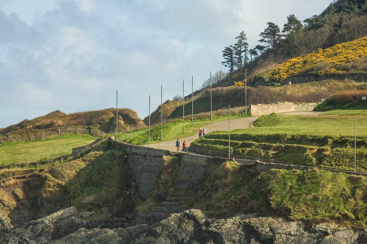 BRAY HEAD APRIL 2007 013