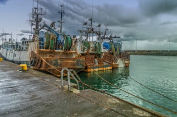 FISHING FLEET