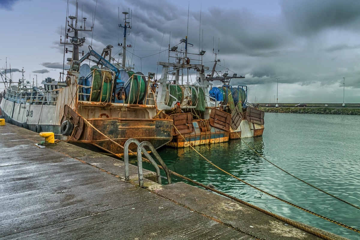 HOWTH FISHING  FLEET 3 SEPTEMBER 2008 002