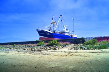 BOAT YARD JANUARY 2009