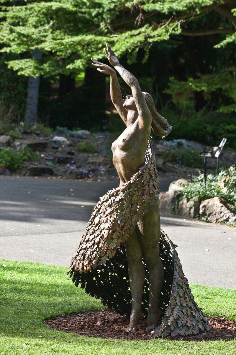 OTHER EARTH DANCING BY BETTY NEWMAN MAGUIRE PHOTOGRAPHED USING A CANON 1Ds MKIII 003