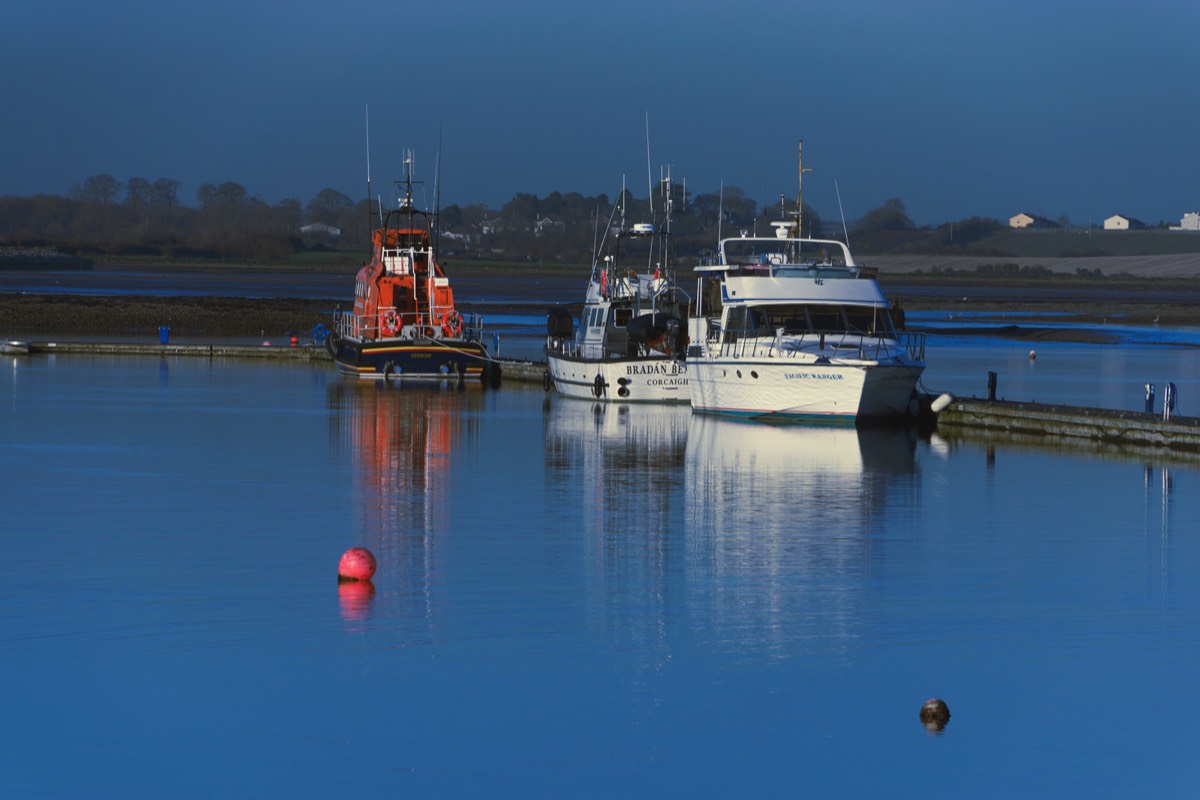 JANUARY 2013 VISIT TO MALAHIDE 018