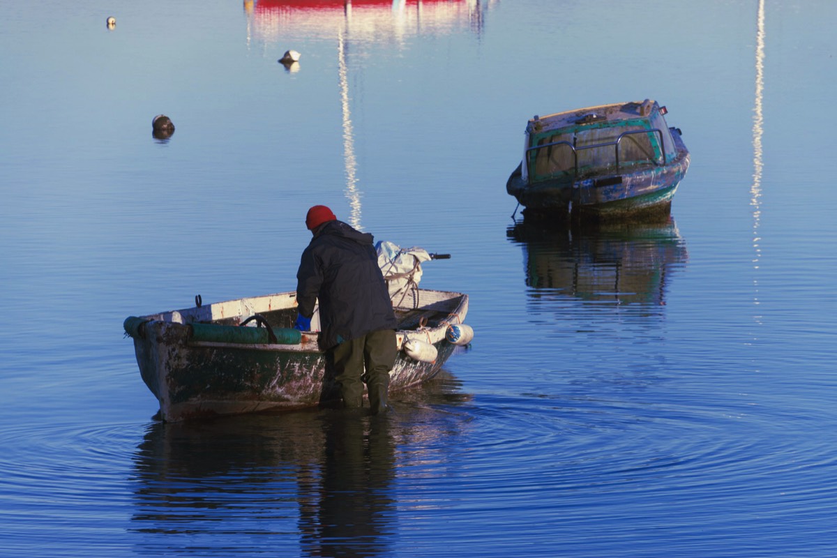 JANUARY 2013 VISIT TO MALAHIDE 023