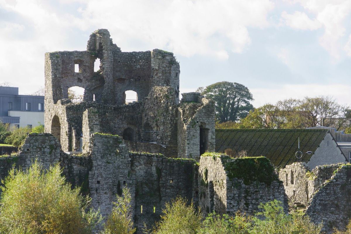 TRIM CASTLE ON THE RIVER BOYNE 024