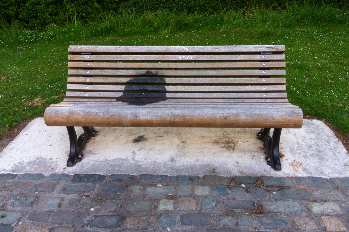 A SECTION OF THE LAGAN TOWPATH 015