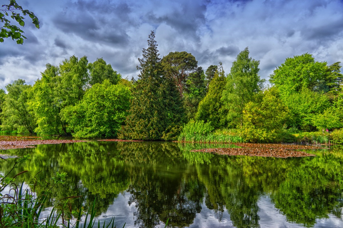 FARMLEIGH ESTATE - HOUSE AND GARDENS  003