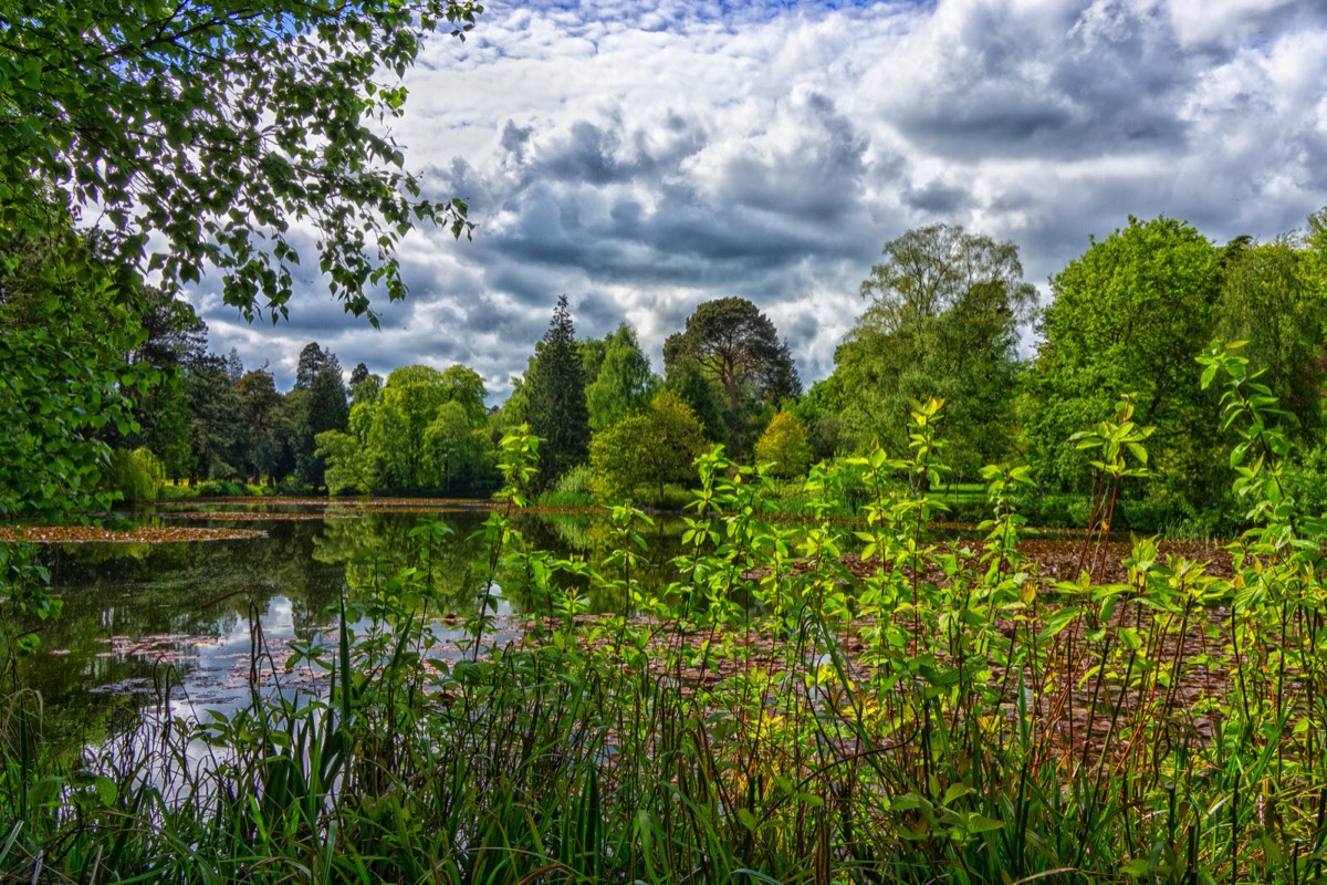 FARMLEIGH ESTATE - HOUSE AND GARDENS  004