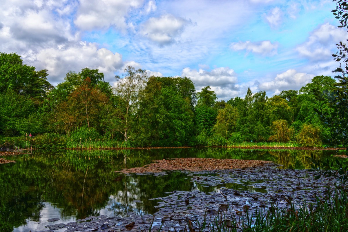 FARMLEIGH ESTATE - HOUSE AND GARDENS  005