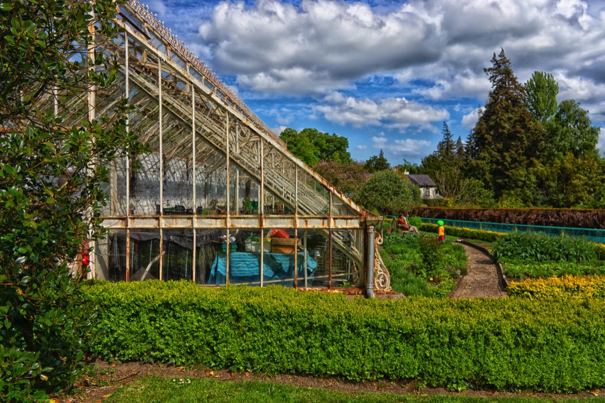 FARMLEIGH ESTATE - HOUSE AND GARDENS  012