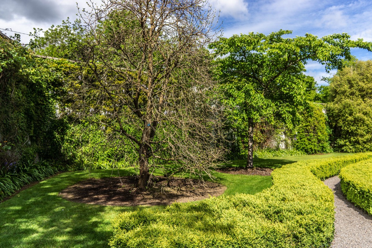 FARMLEIGH ESTATE - HOUSE AND GARDENS  018