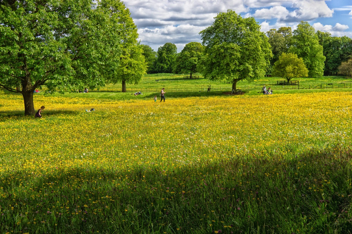 FARMLEIGH ESTATE - HOUSE AND GARDENS  022