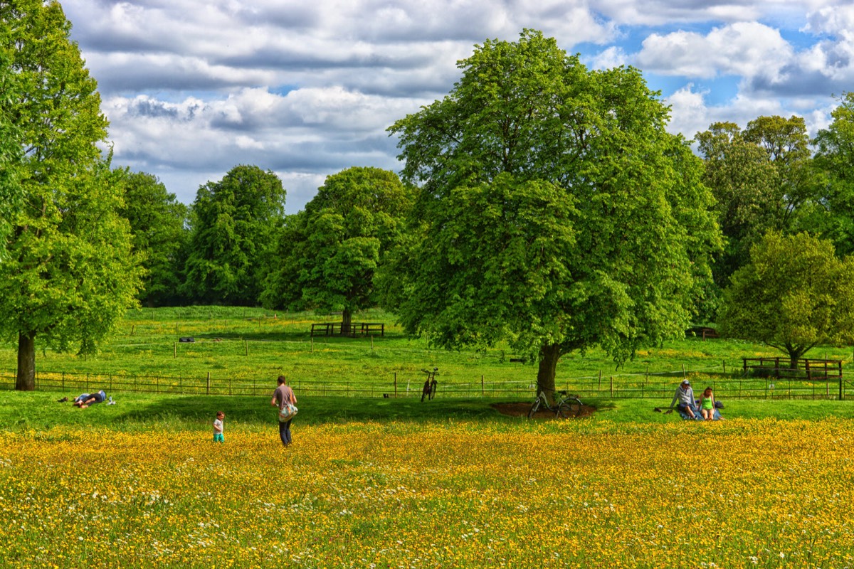 FARMLEIGH ESTATE - HOUSE AND GARDENS  023