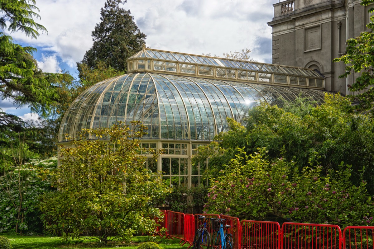 FARMLEIGH ESTATE - HOUSE AND GARDENS  025