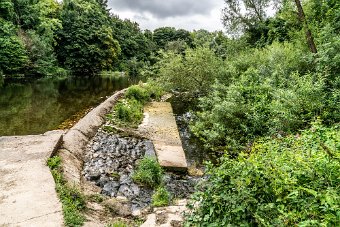 BISHOPSMEADOWS WALK SECTION OF THE NORE LINEAR PARK 018