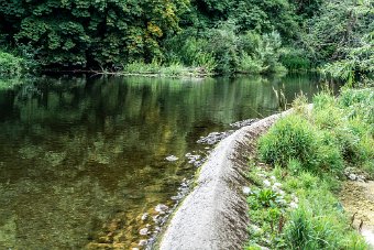 BISHOPSMEADOWS WALK SECTION OF THE NORE LINEAR PARK 015