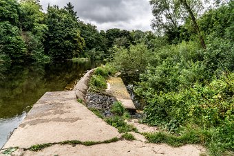 BISHOPSMEADOWS WALK SECTION OF THE NORE LINEAR PARK 016