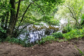 BISHOPSMEADOWS WALK SECTION OF THE NORE LINEAR PARK 012