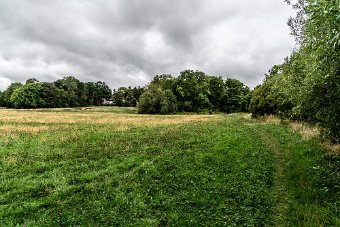 BISHOPSMEADOWS WALK SECTION OF THE NORE LINEAR PARK 010